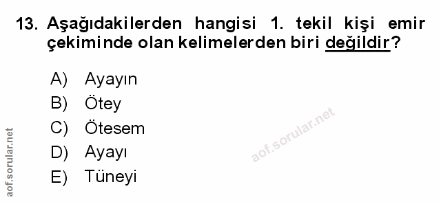 Soru 13