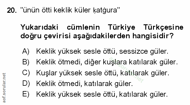 Soru 20