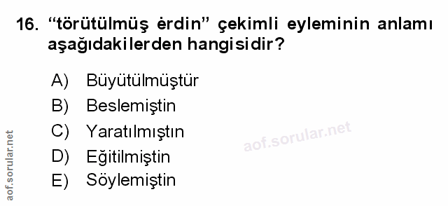 Soru 16