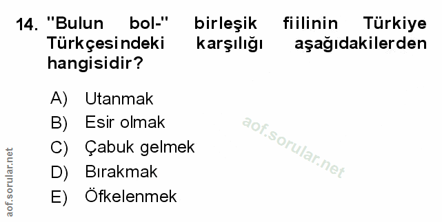 Soru 14
