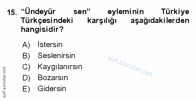 Soru 15