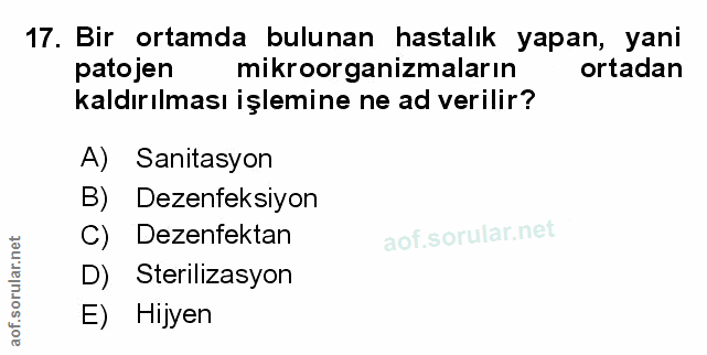 Soru 17