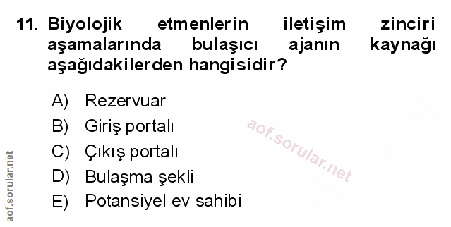 Soru 11