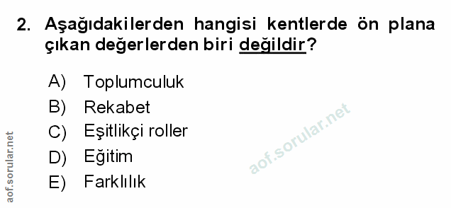 Soru 2