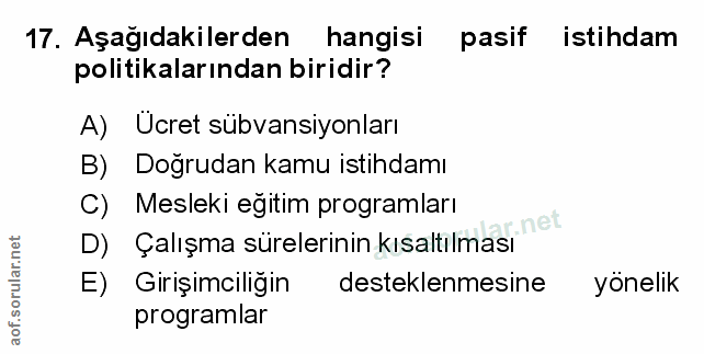 Soru 17