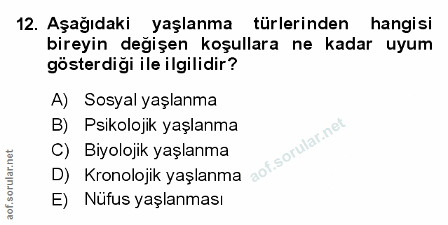 Soru 12