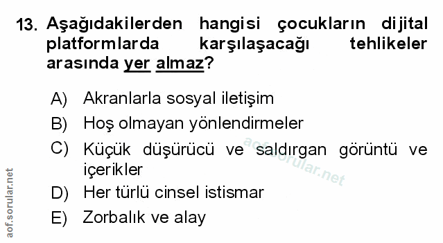 Soru 13