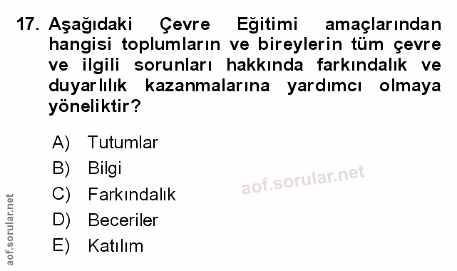 Soru 17