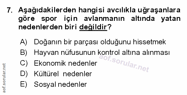 Soru 7
