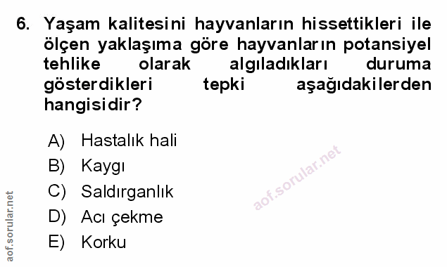 Soru 6
