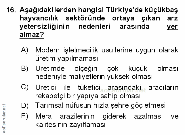 Soru 16
