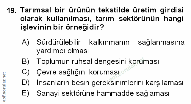 Soru 19