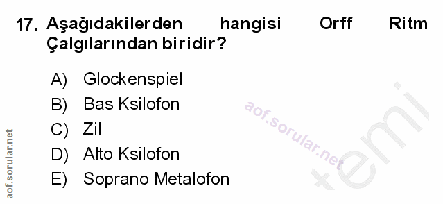 Soru 17