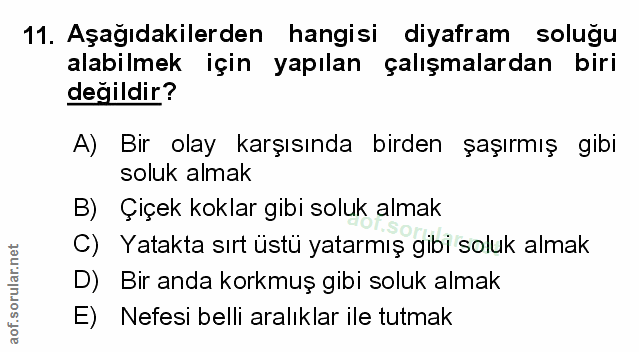 Soru 11