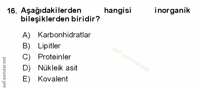 Soru 16