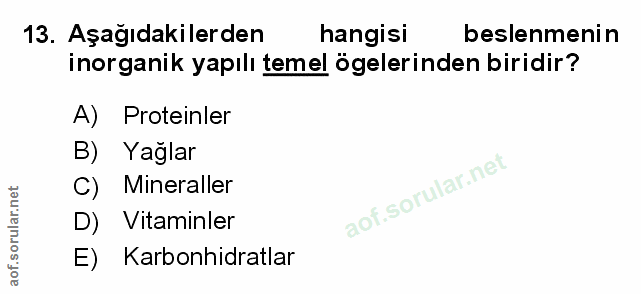 Soru 13