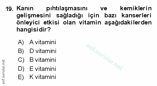 Soru 19