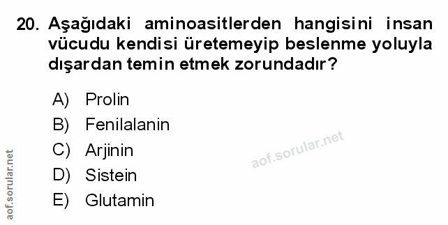 Soru 20