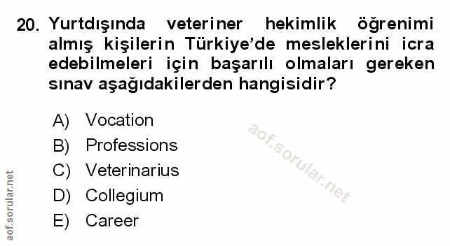 Soru 20