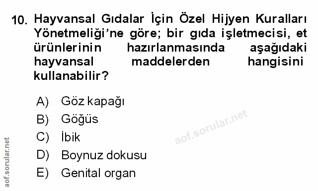Soru 10