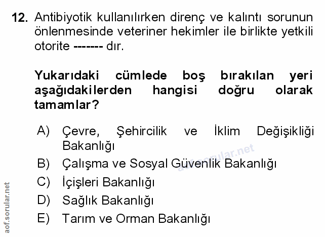Soru 12