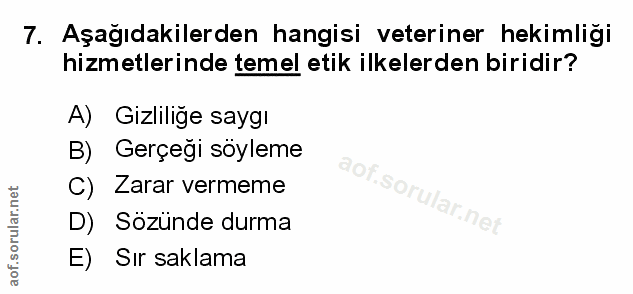 Soru 7