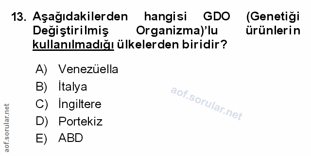 Soru 13