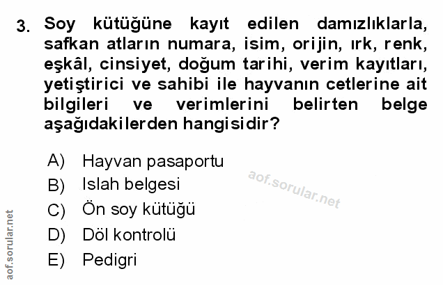 Soru 3
