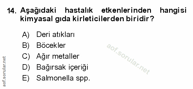 Soru 14