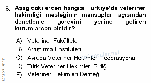 Soru 8