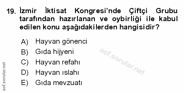 Soru 19