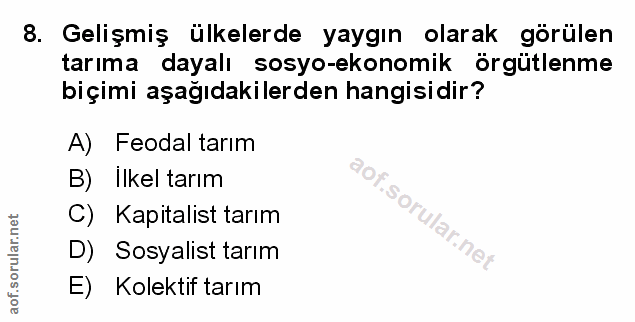Soru 8