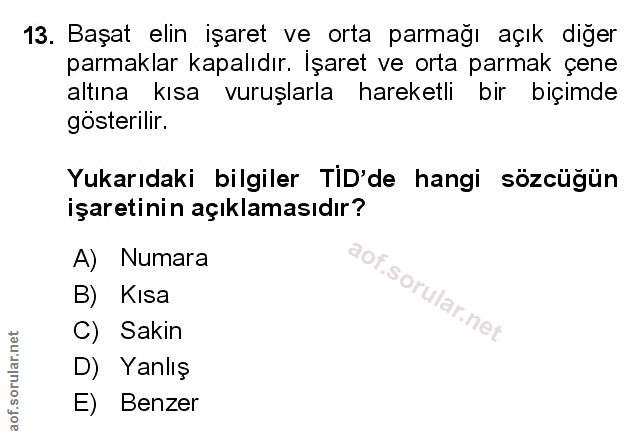 Soru 13