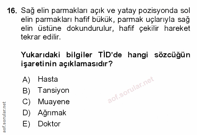 Soru 16