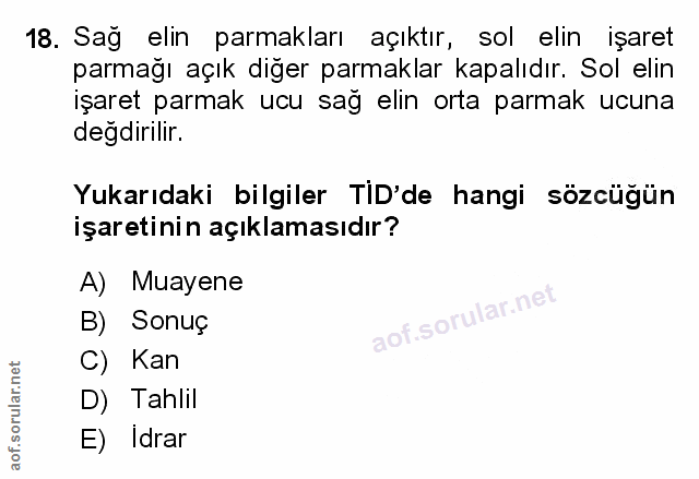 Soru 18