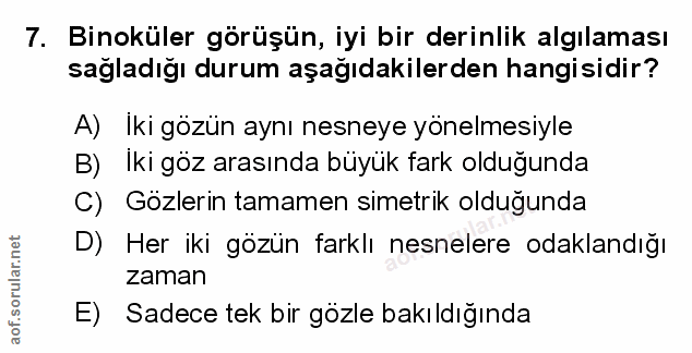 Soru 7
