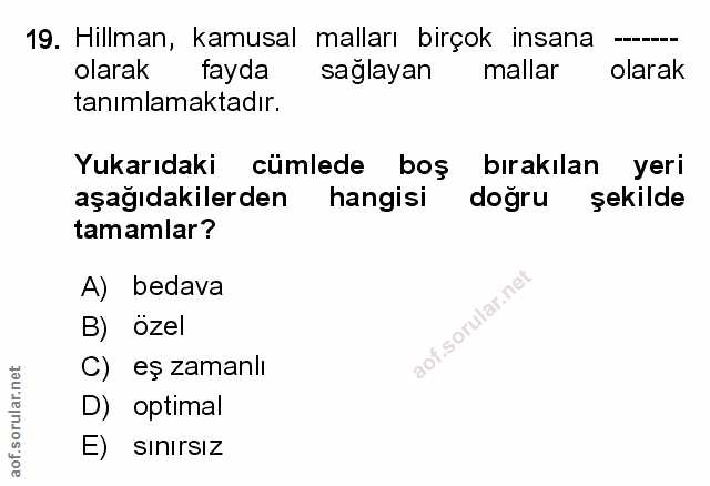 Soru 19