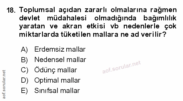 Soru 18