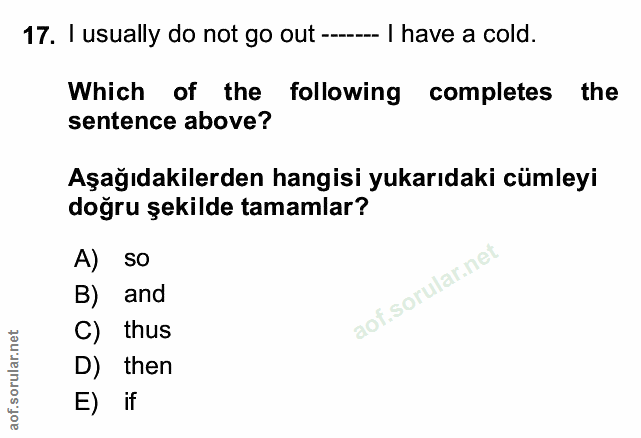 Soru 17