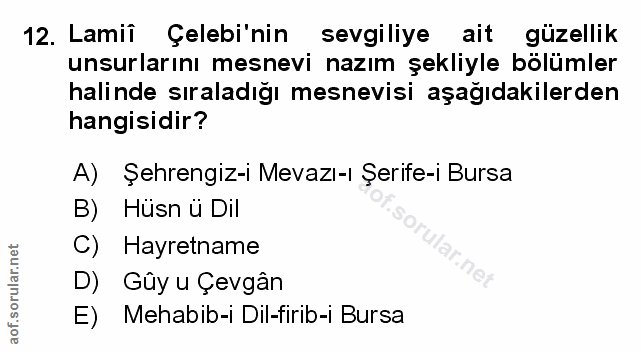 Soru 12