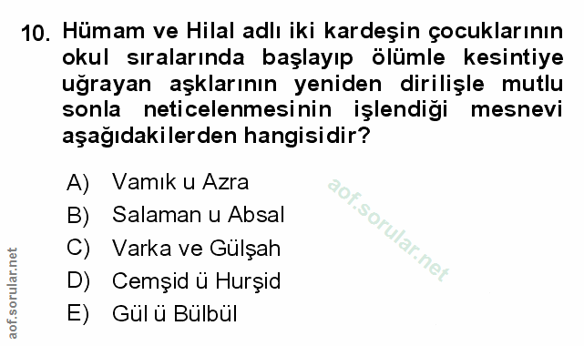 Soru 10