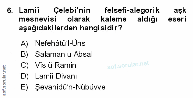 Soru 6