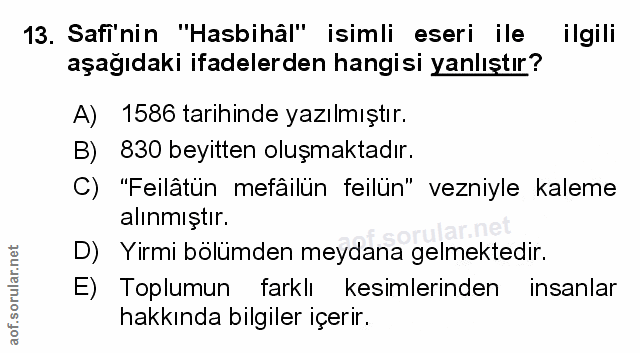 Soru 13
