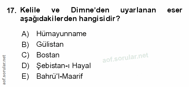 Soru 17