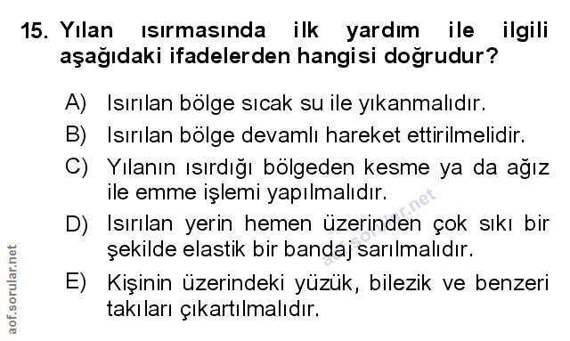 Soru 15