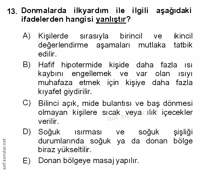 Soru 13