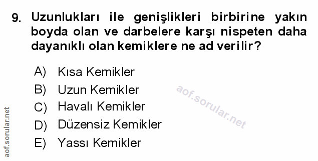 Soru 9