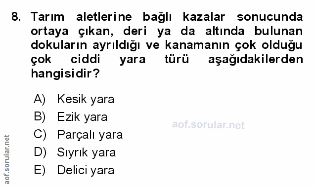 Soru 8