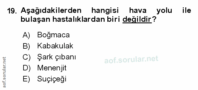 Soru 19