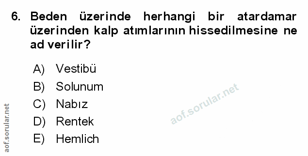 Soru 6